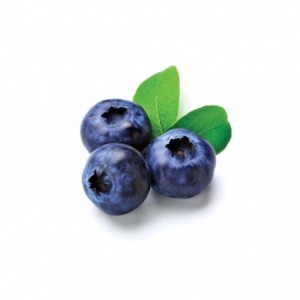 Profile picture of Julia "Blueberries" Rutledge