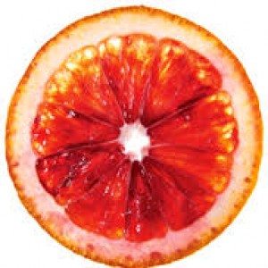 Profile picture of Tim "Blood Orange" Powell